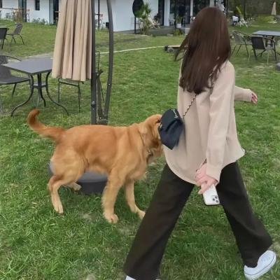 珍